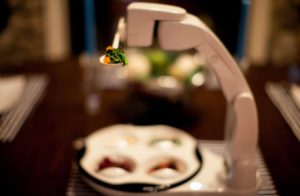 This photo shows the Obi device in action, a big bite of food, at a dinner table